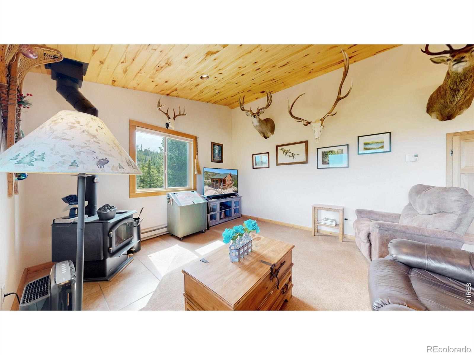 51 Tenino Court Red Feather Lakes CO 80545