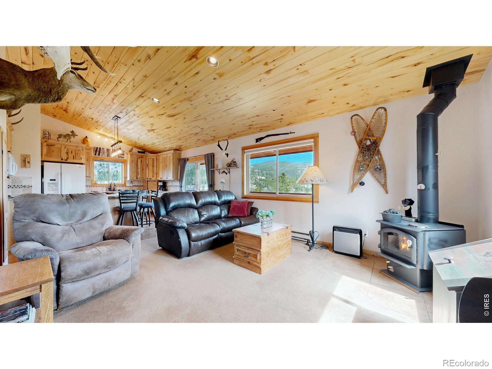 51 Tenino Court Red Feather Lakes CO 80545