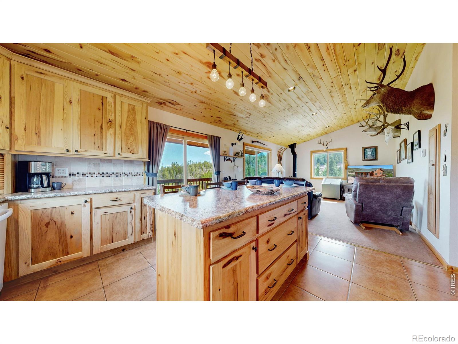 51 Tenino Court Red Feather Lakes CO 80545