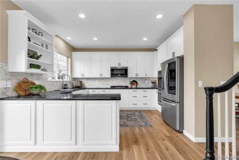 4467 Trailside Lane Castle Rock CO 80109