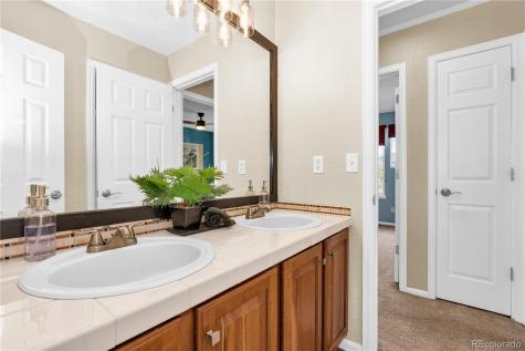4467 Trailside Lane Castle Rock CO 80109