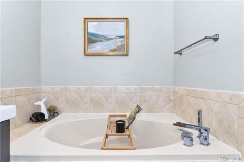 4467 Trailside Lane Castle Rock CO 80109