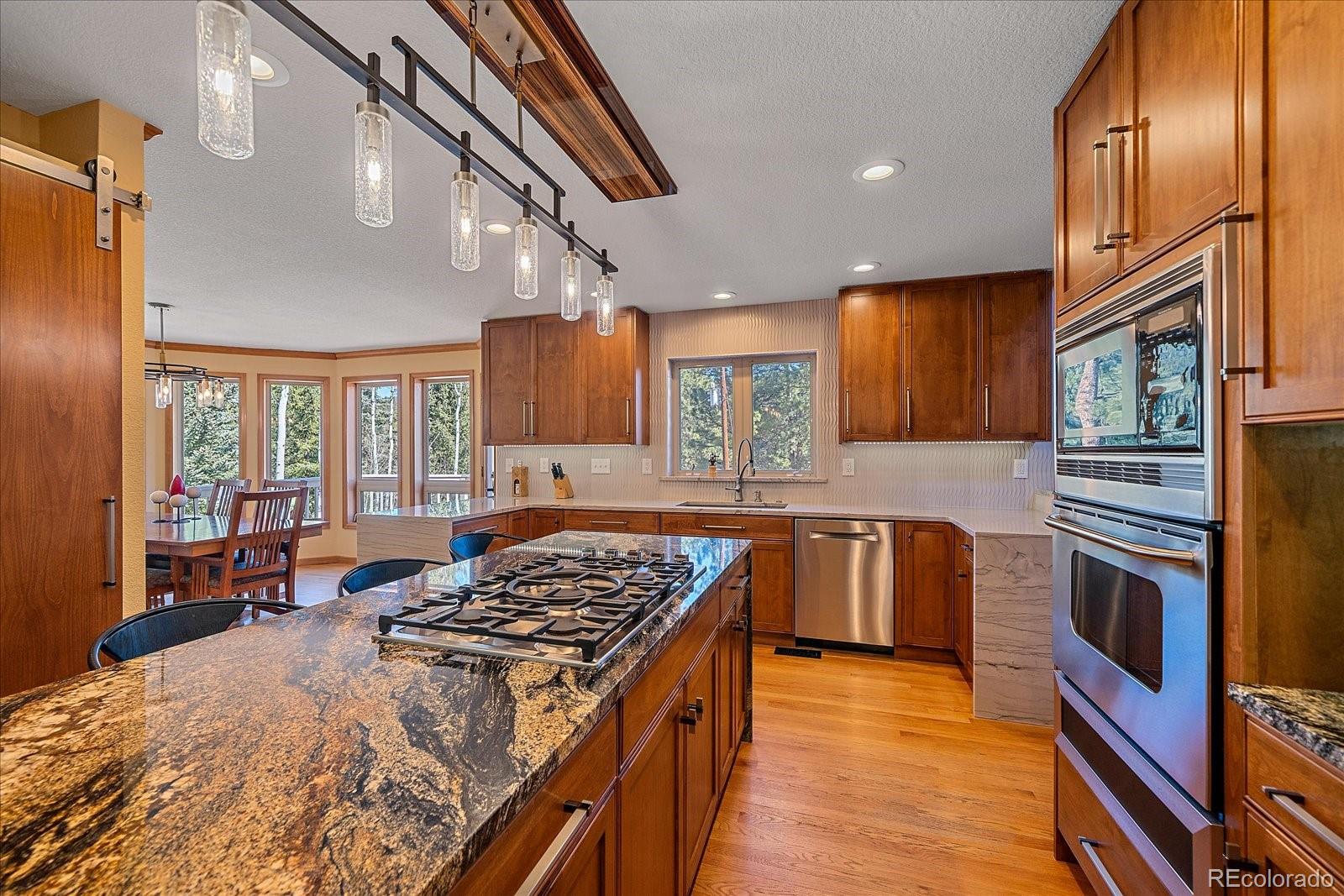 9948 S Turkey Creek Road Morrison CO 80465