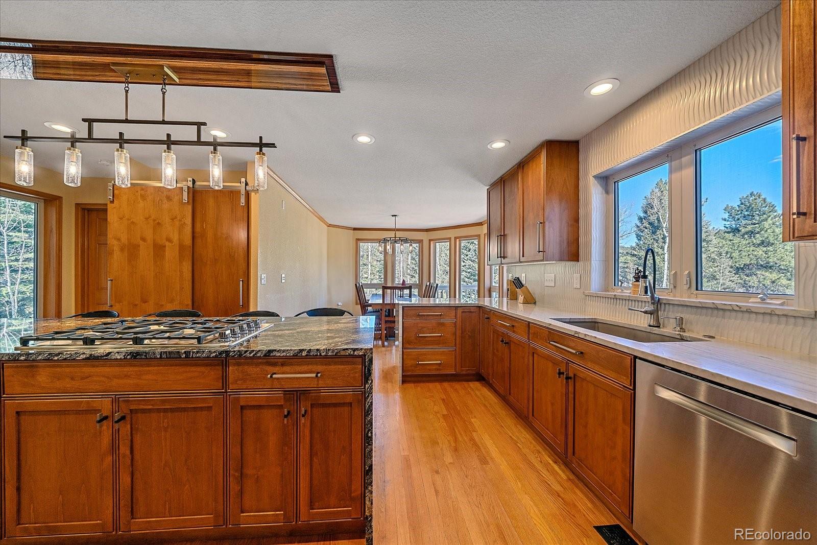 9948 S Turkey Creek Road Morrison CO 80465