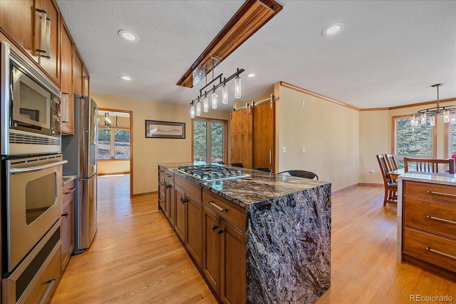 9948 S Turkey Creek Road Morrison CO 80465