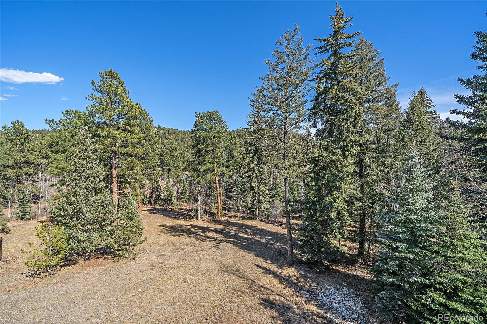 9948 S Turkey Creek Road Morrison CO 80465