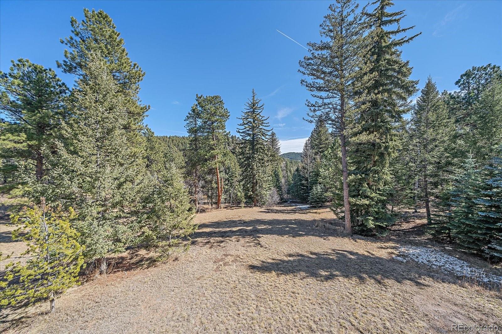 9948 S Turkey Creek Road Morrison CO 80465