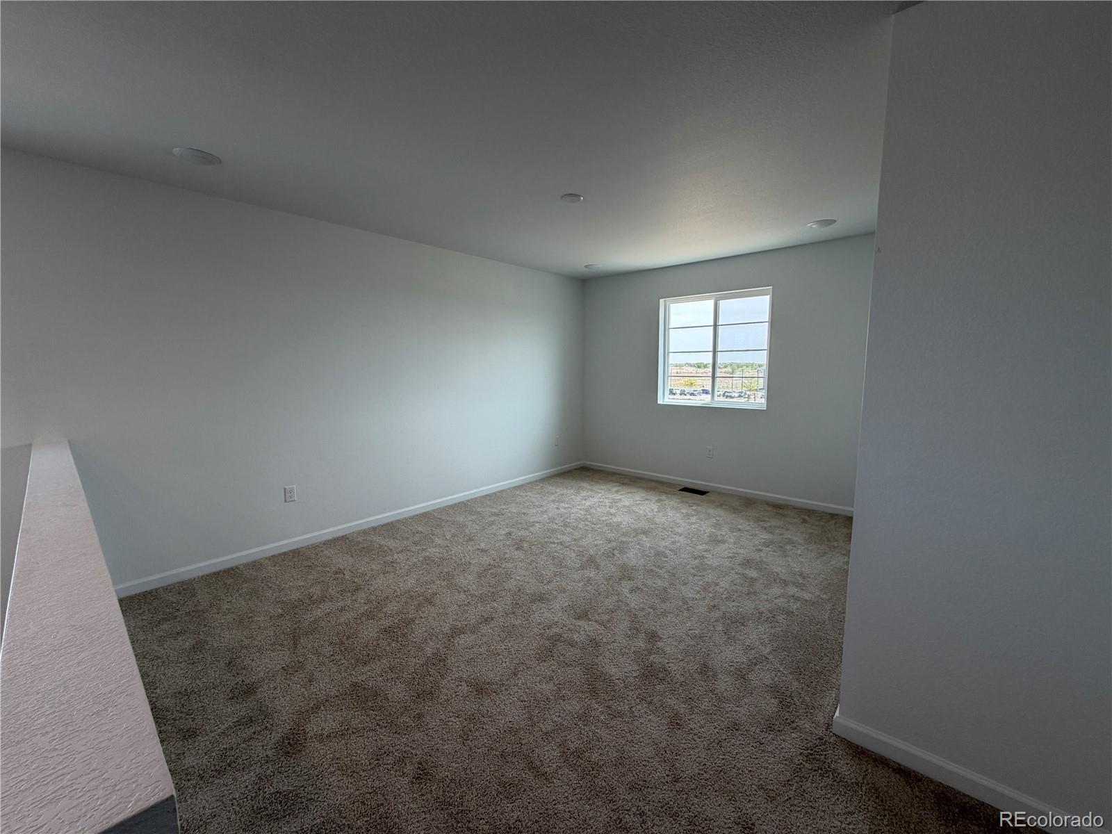 6446 Ankina Drive Windsor CO 80528