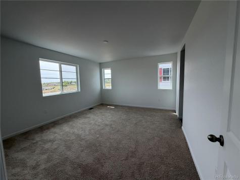 6446 Ankina Drive Windsor CO 80528