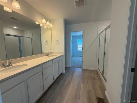 6446 Ankina Drive Windsor CO 80528