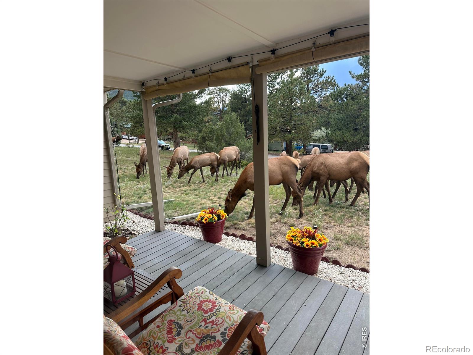 820 Riverside Drive Estes Park CO 80517