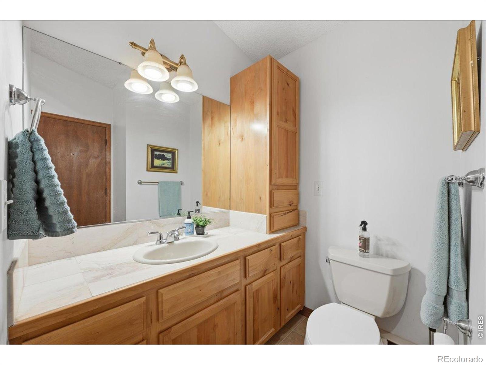 121 Manhead Mountain Drive Livermore CO 80536
