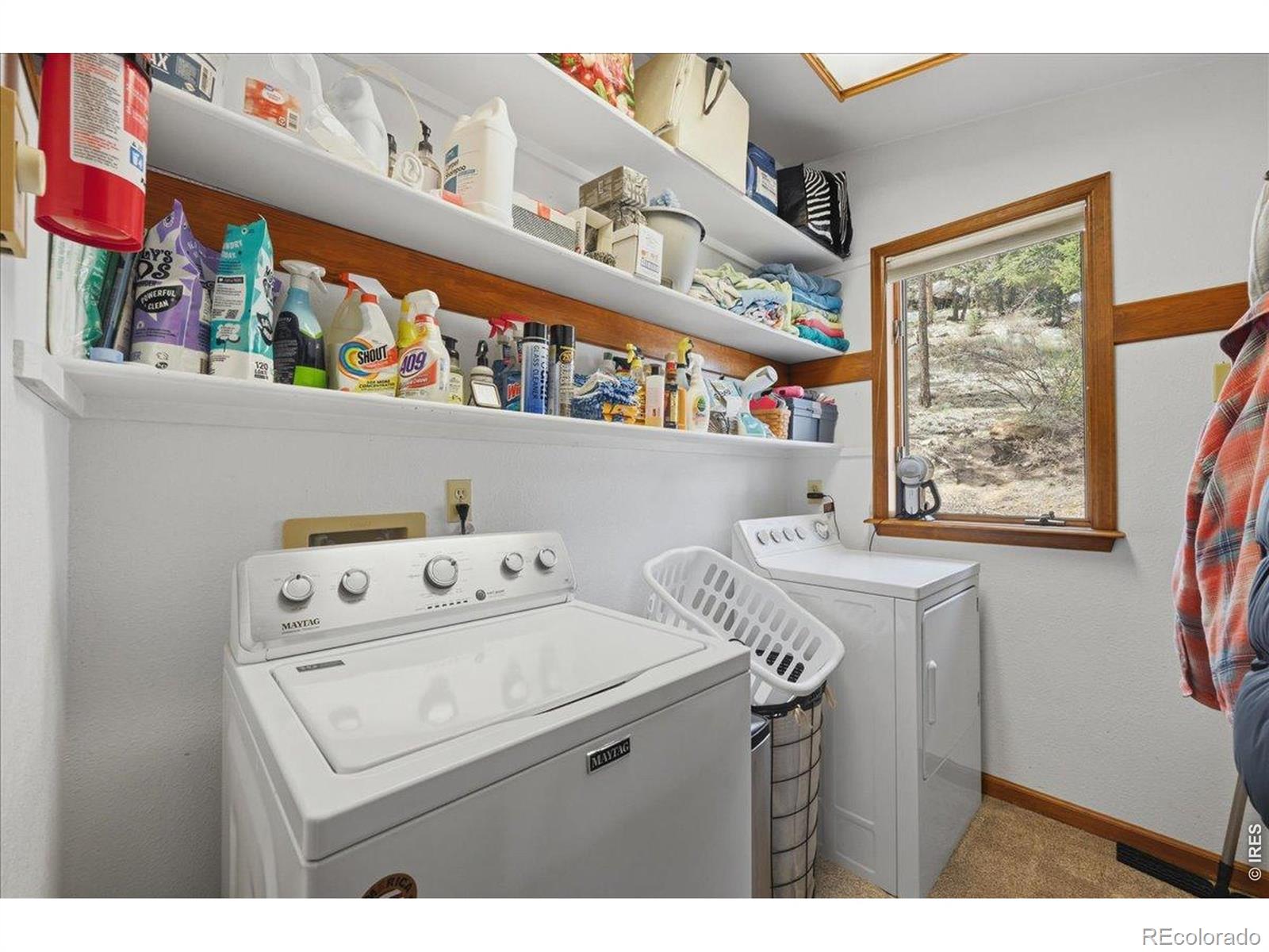 121 Manhead Mountain Drive Livermore CO 80536