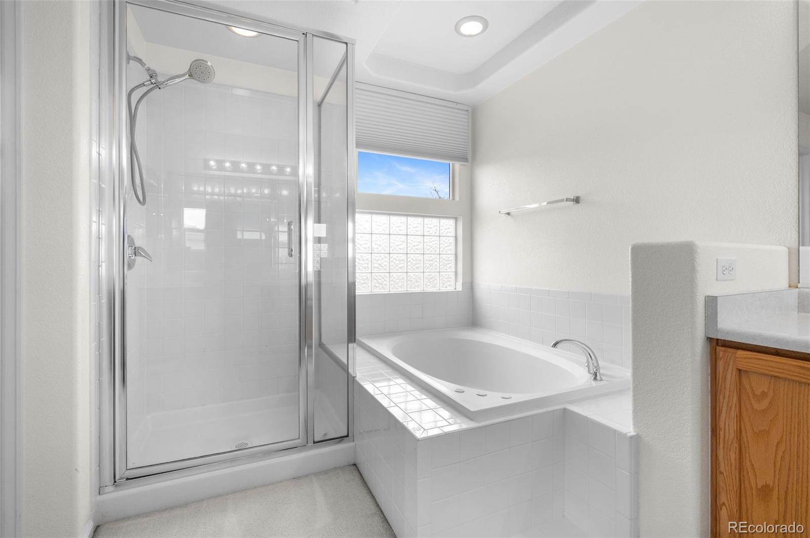 20331 E 47th Place Denver CO 80249