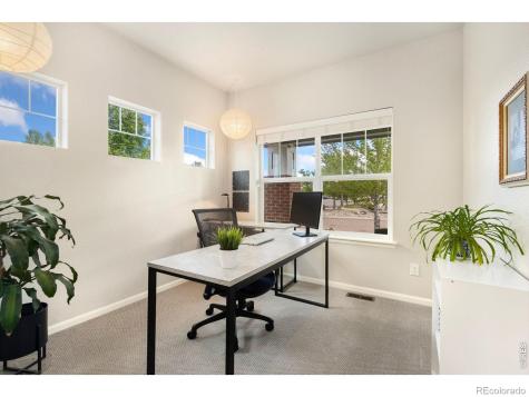 352 Baja Drive Windsor CO 80550