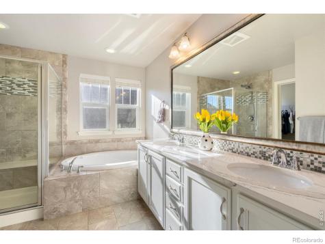 352 Baja Drive Windsor CO 80550