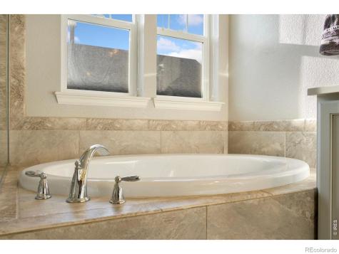 352 Baja Drive Windsor CO 80550