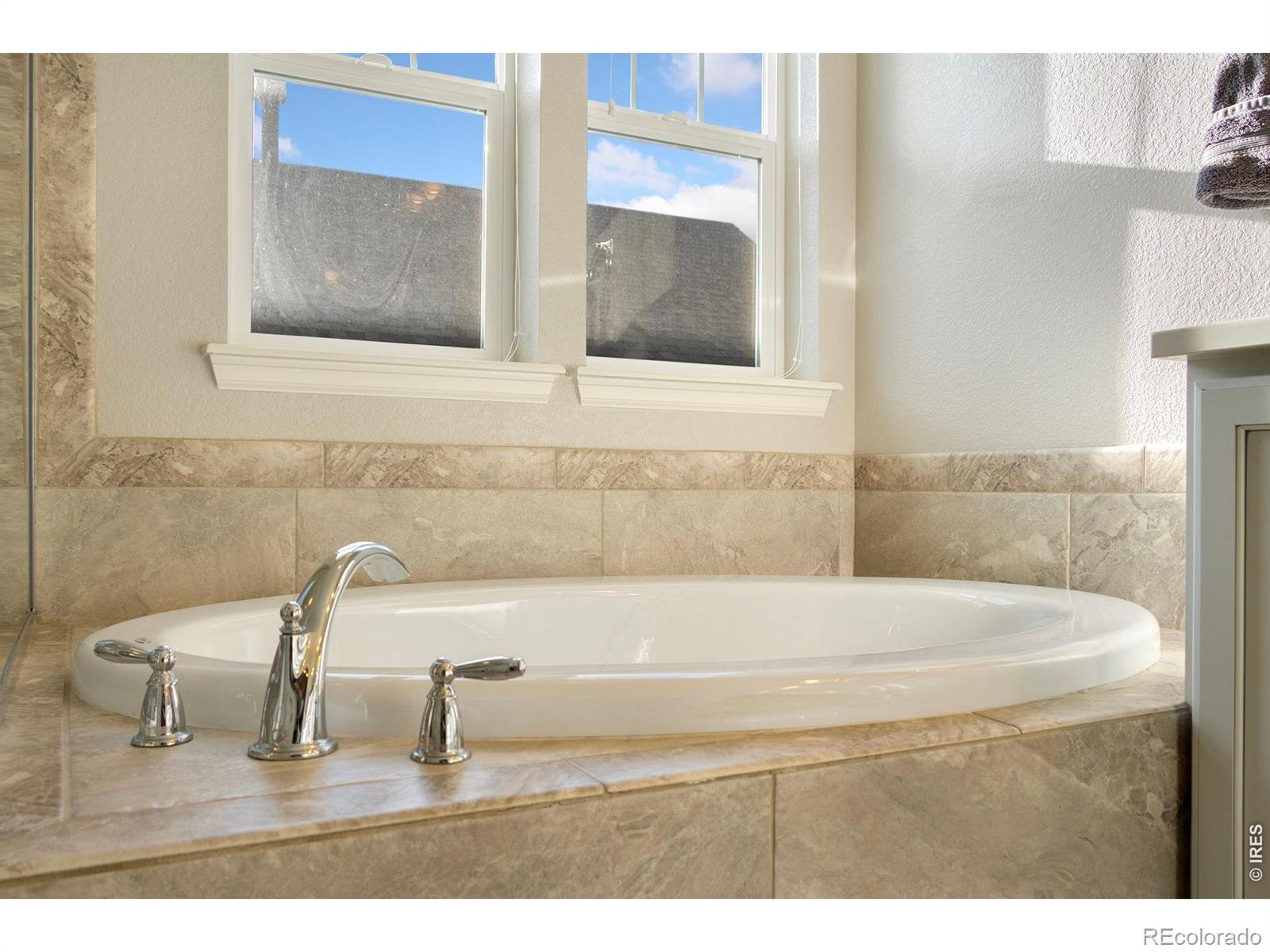 352 Baja Drive Windsor CO 80550