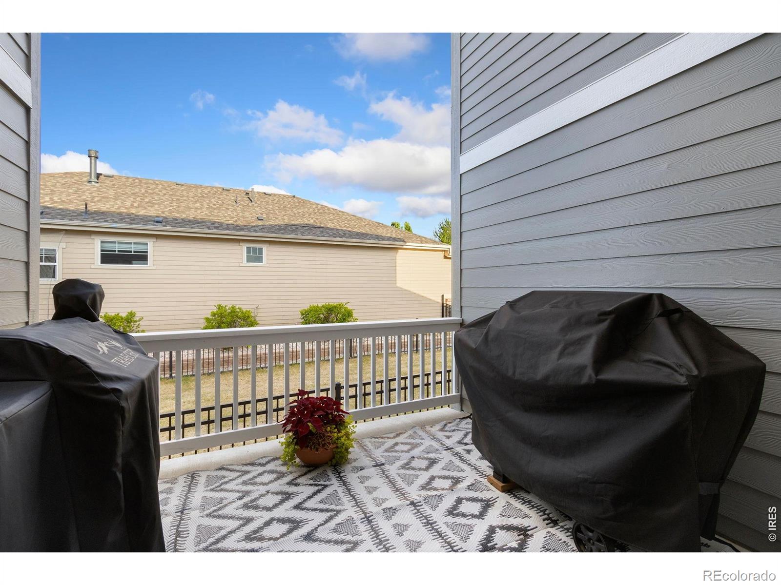 352 Baja Drive Windsor CO 80550