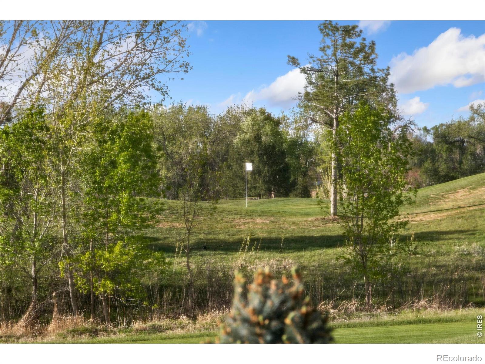 352 Baja Drive Windsor CO 80550