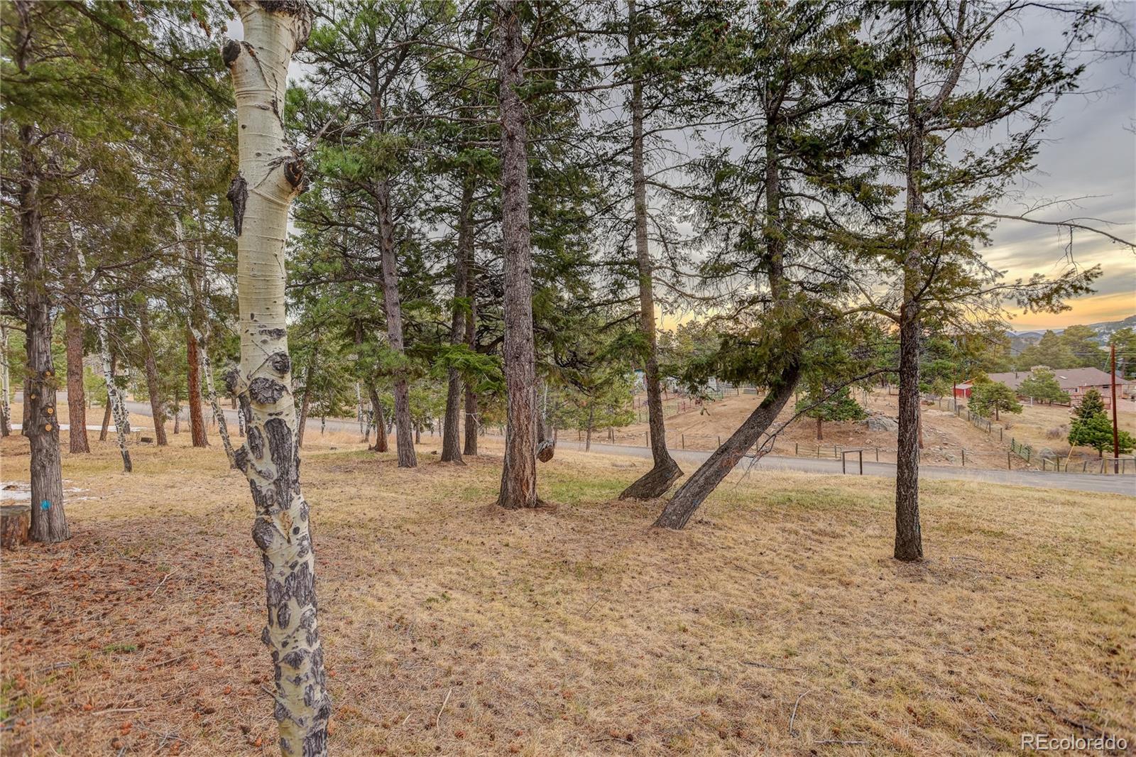9039 S Bertha Court Morrison CO 80465