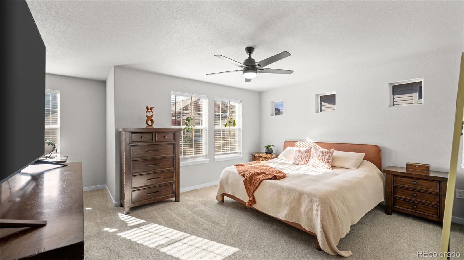 9443 Cashel Trail Colorado Springs CO 80927