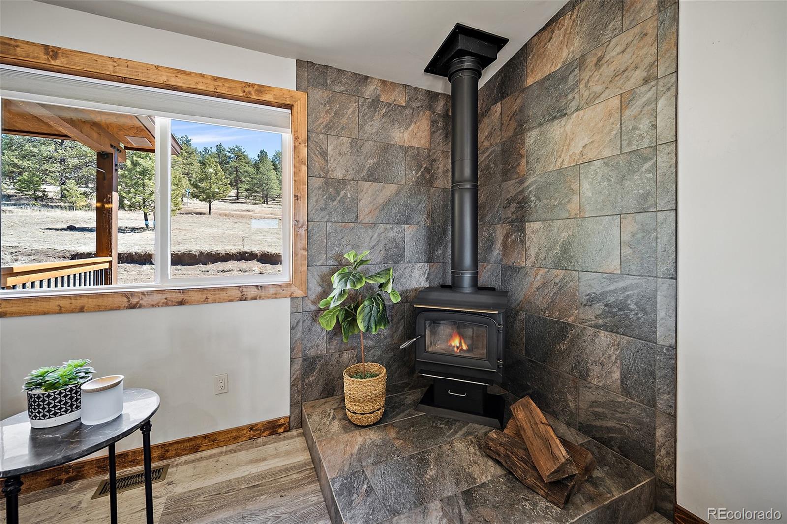186 Empire Road Florissant CO 80816