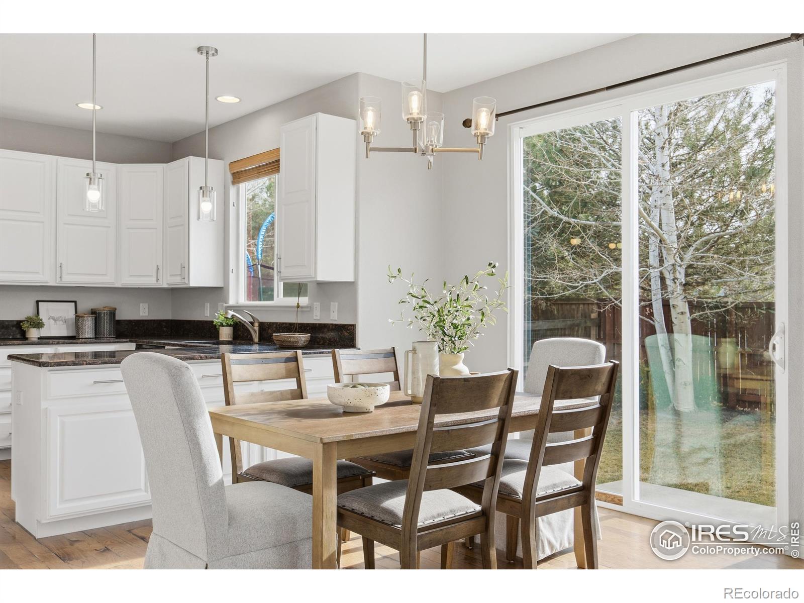 2121 Katahdin Drive Fort Collins CO 80525