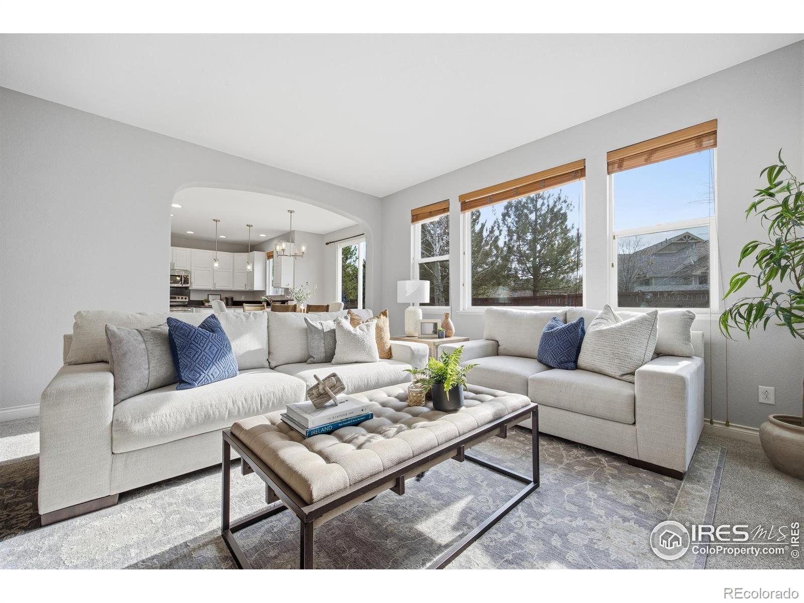 2121 Katahdin Drive Fort Collins CO 80525