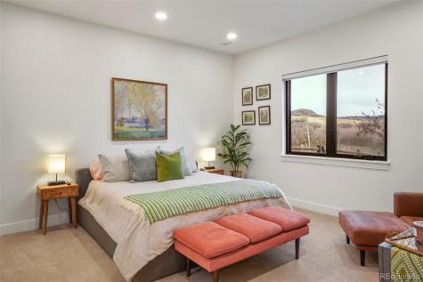 1544 King Mick Court Castle Rock CO 80104