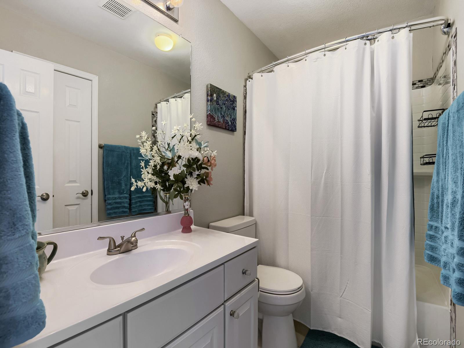 10270 Amethyst Way Parker CO 80134