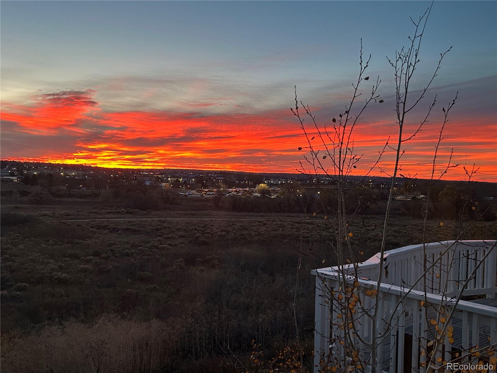 10270 Amethyst Way Parker CO 80134