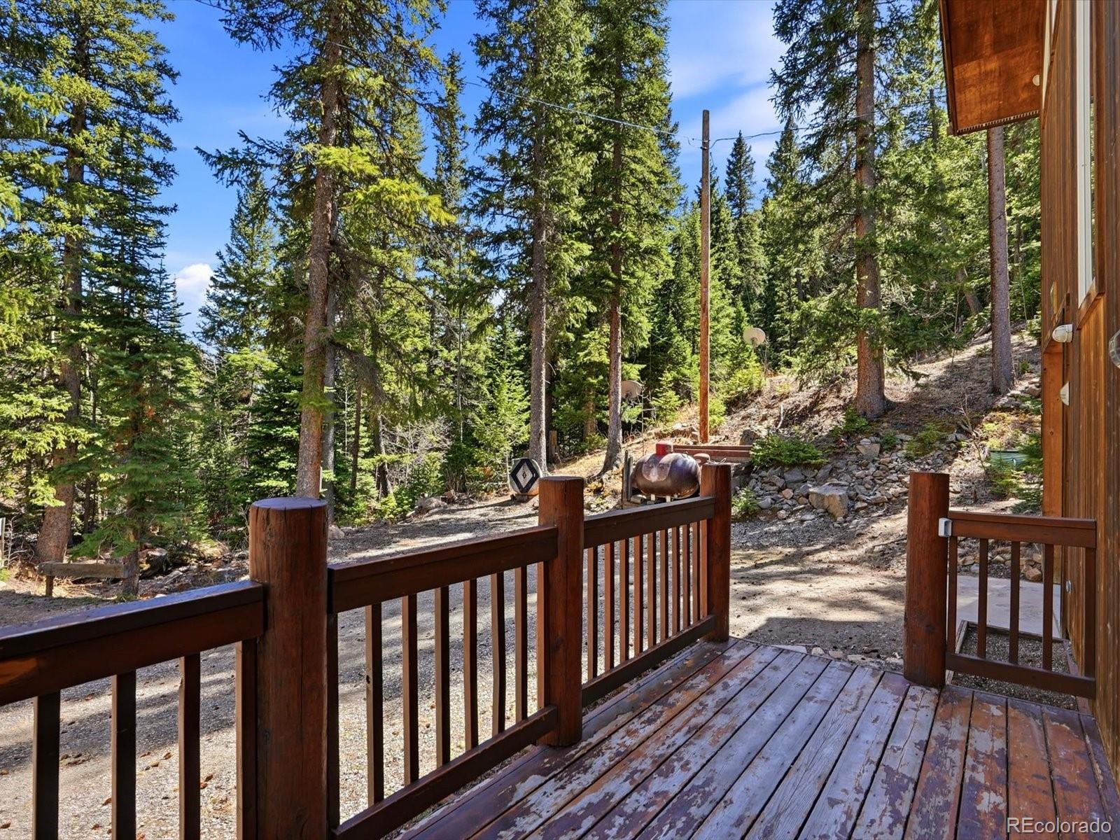 2547 Mill Creek Road Idaho Springs CO 80452
