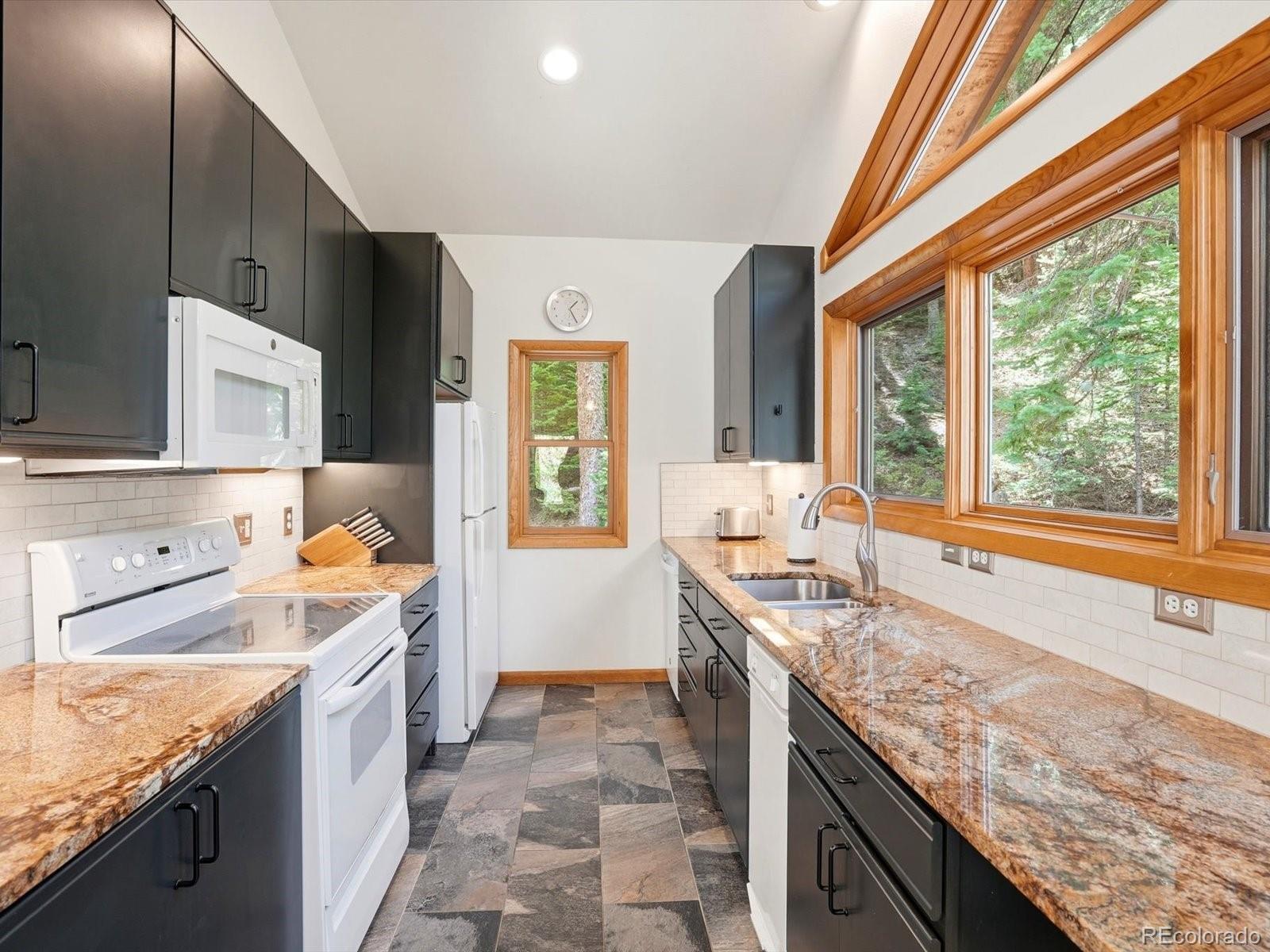 2547 Mill Creek Road Idaho Springs CO 80452