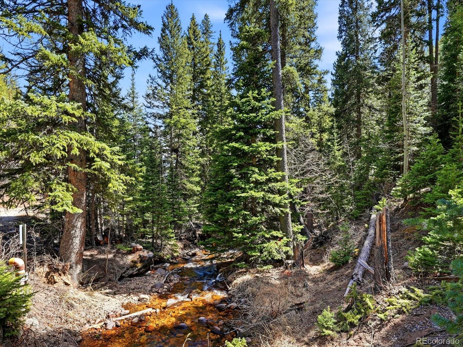 2547 Mill Creek Road Idaho Springs CO 80452