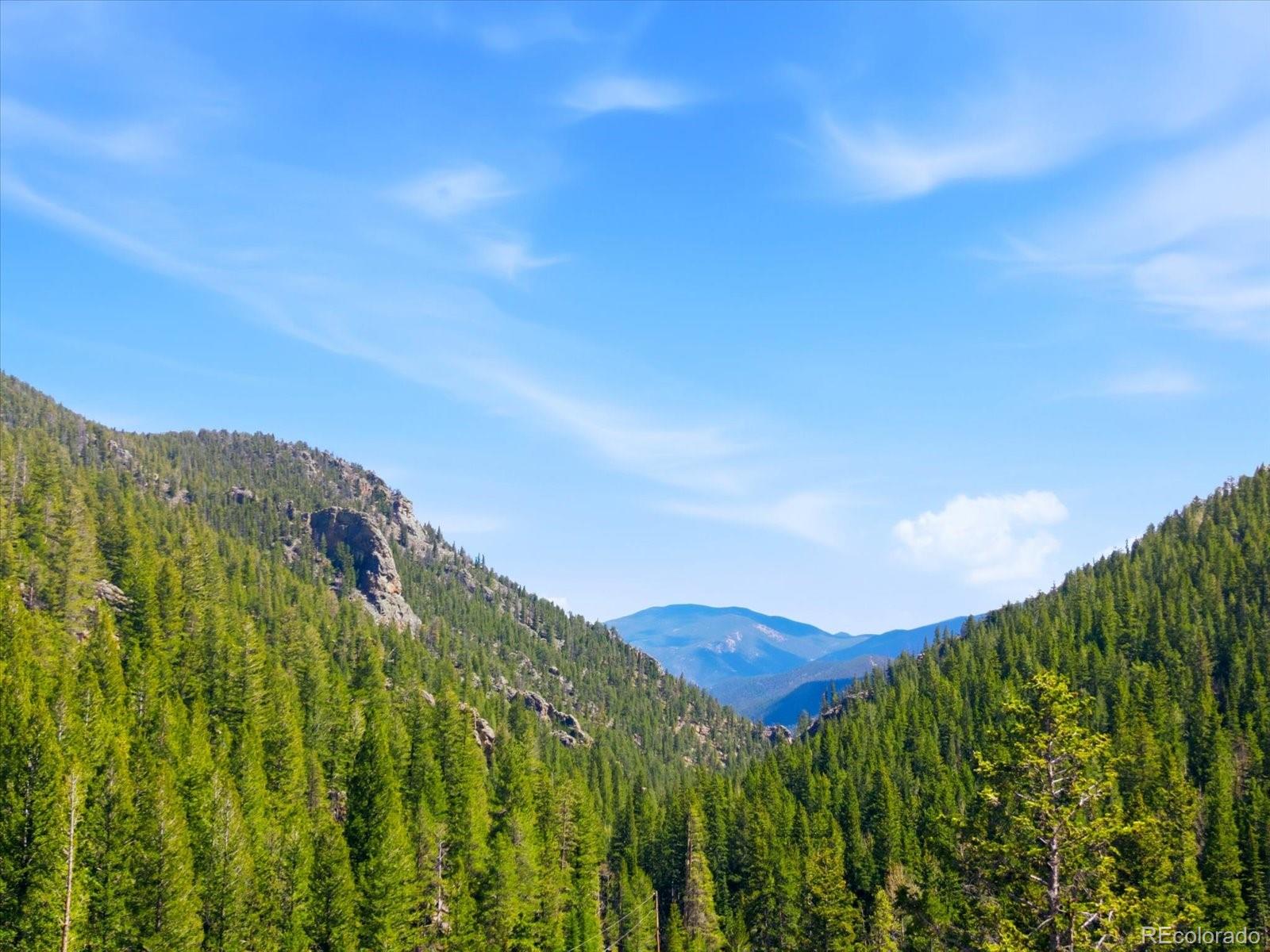 2547 Mill Creek Road Idaho Springs CO 80452