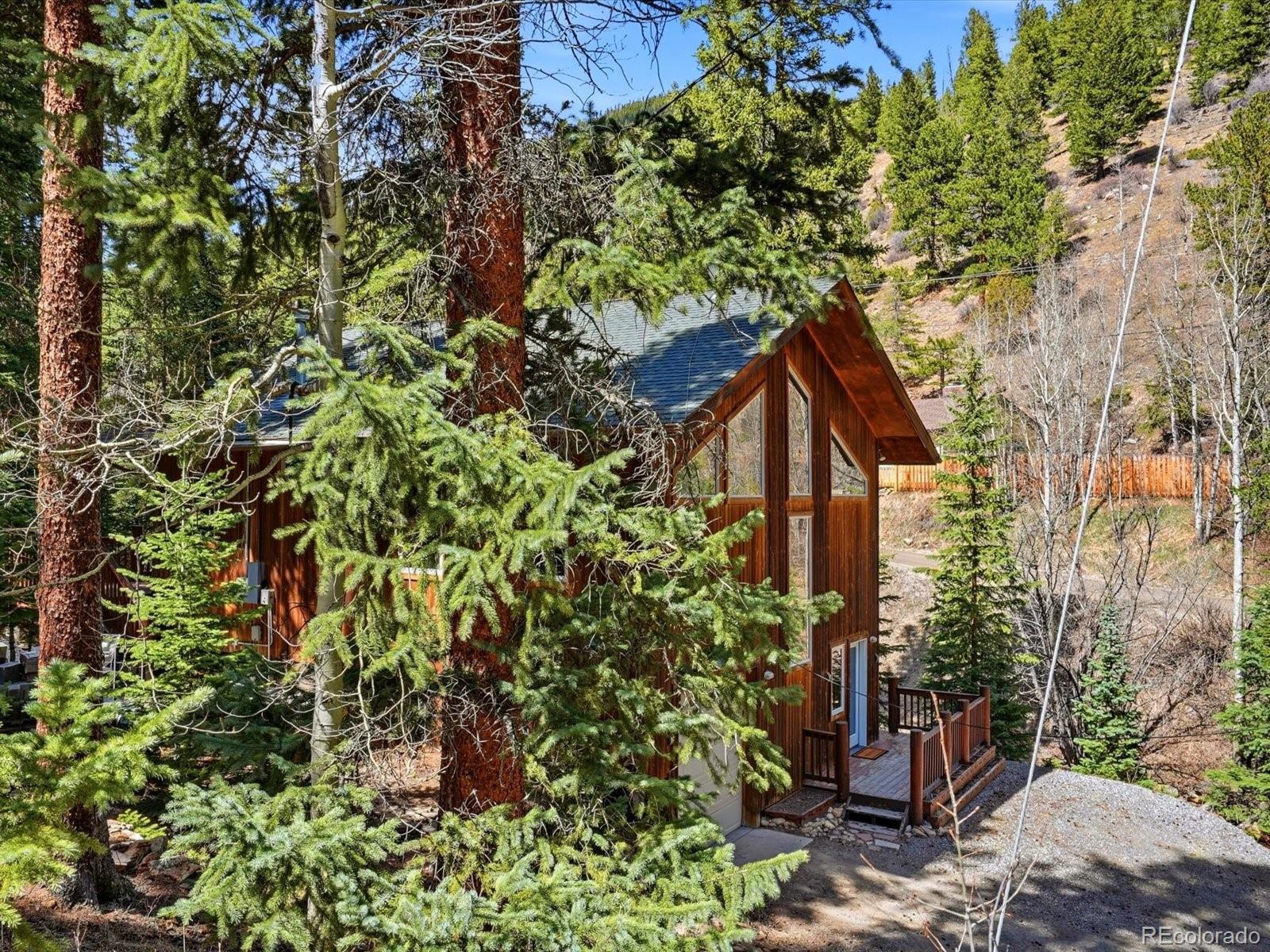 2547 Mill Creek Road Idaho Springs CO 80452