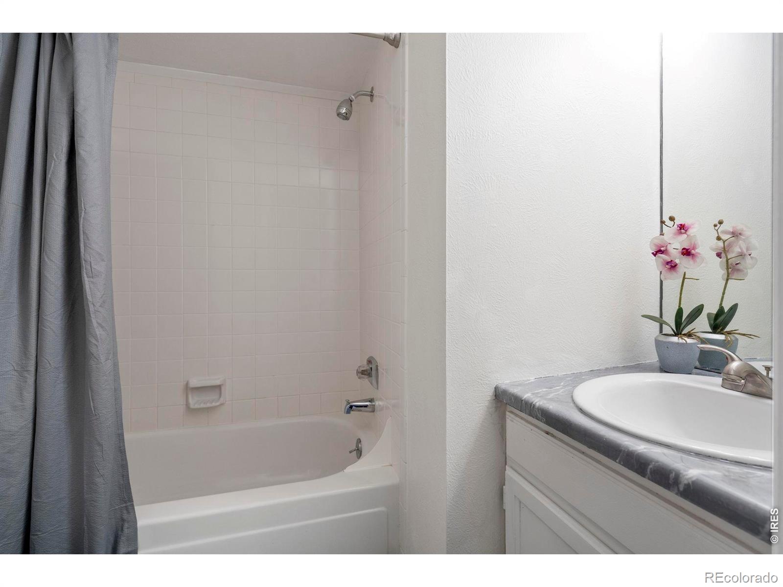 209 W Sycamore Lane Louisville CO 80027