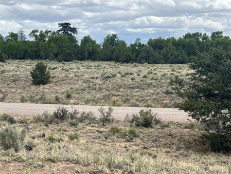 1592 Spanish Creek Road Crestone CO 81131