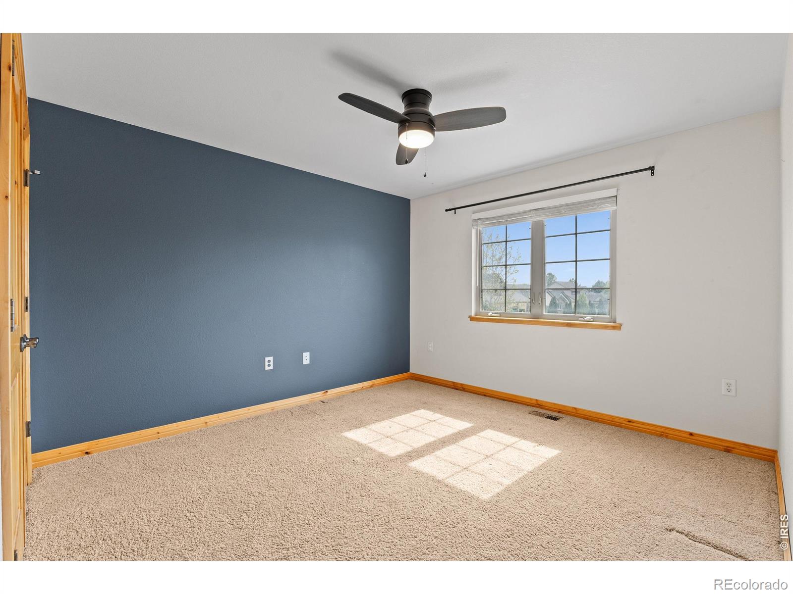 2036 Vineyard Court Windsor CO 80550