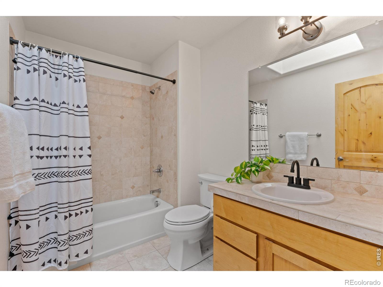2036 Vineyard Court Windsor CO 80550