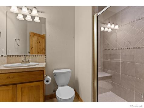 2036 Vineyard Court Windsor CO 80550