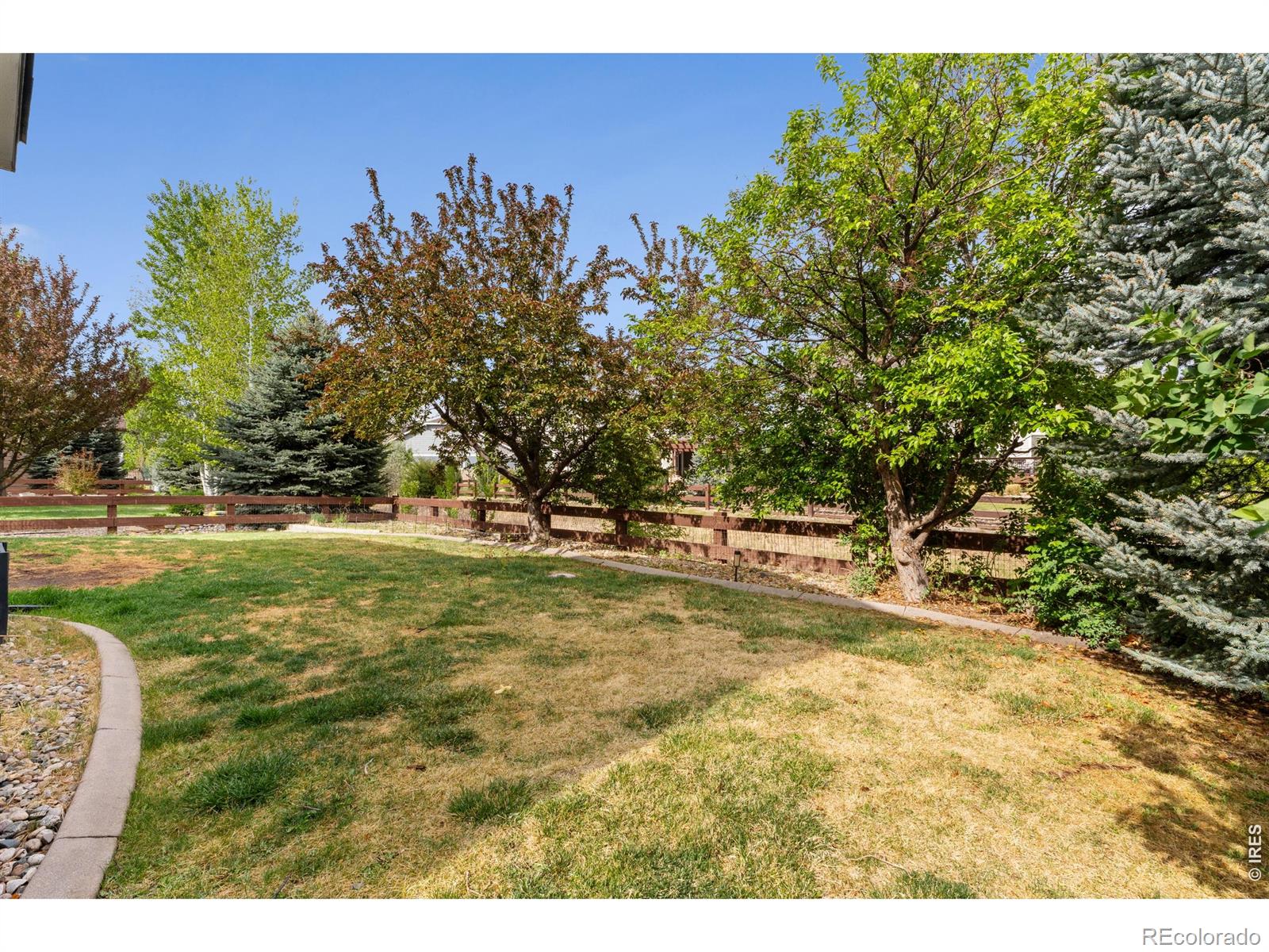 2036 Vineyard Court Windsor CO 80550