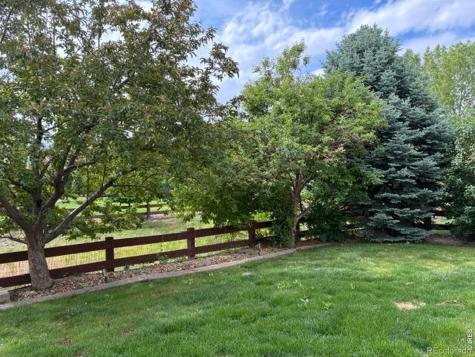 2036 Vineyard Court Windsor CO 80550