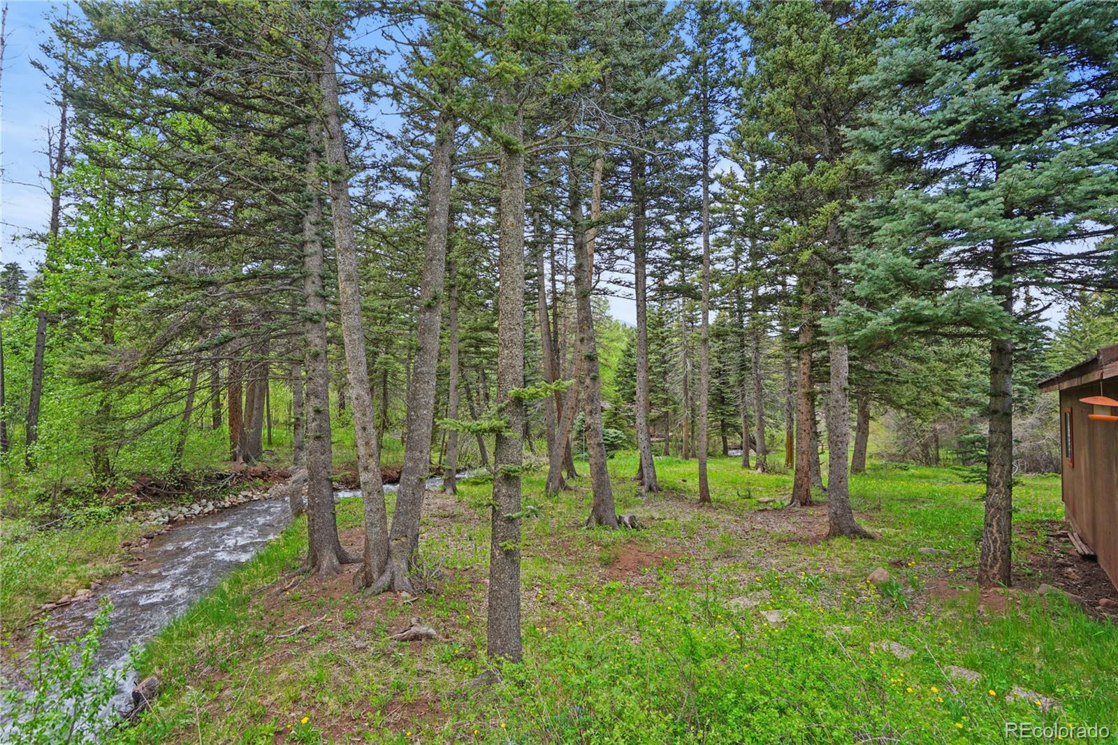 25 Cottonwood Trail La Veta CO 81055