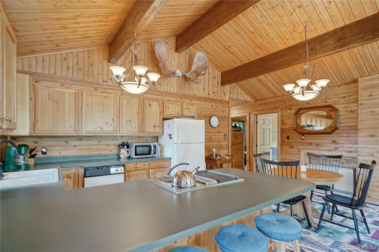 25 Cottonwood Trail La Veta CO 81055