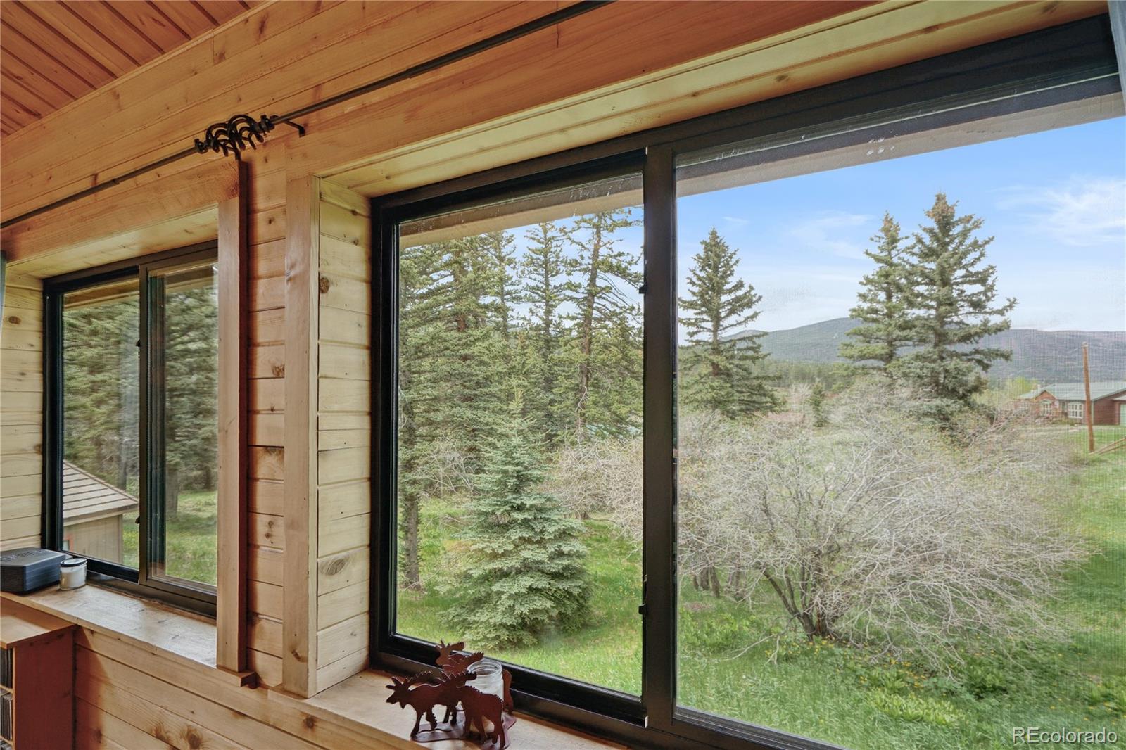 25 Cottonwood Trail La Veta CO 81055