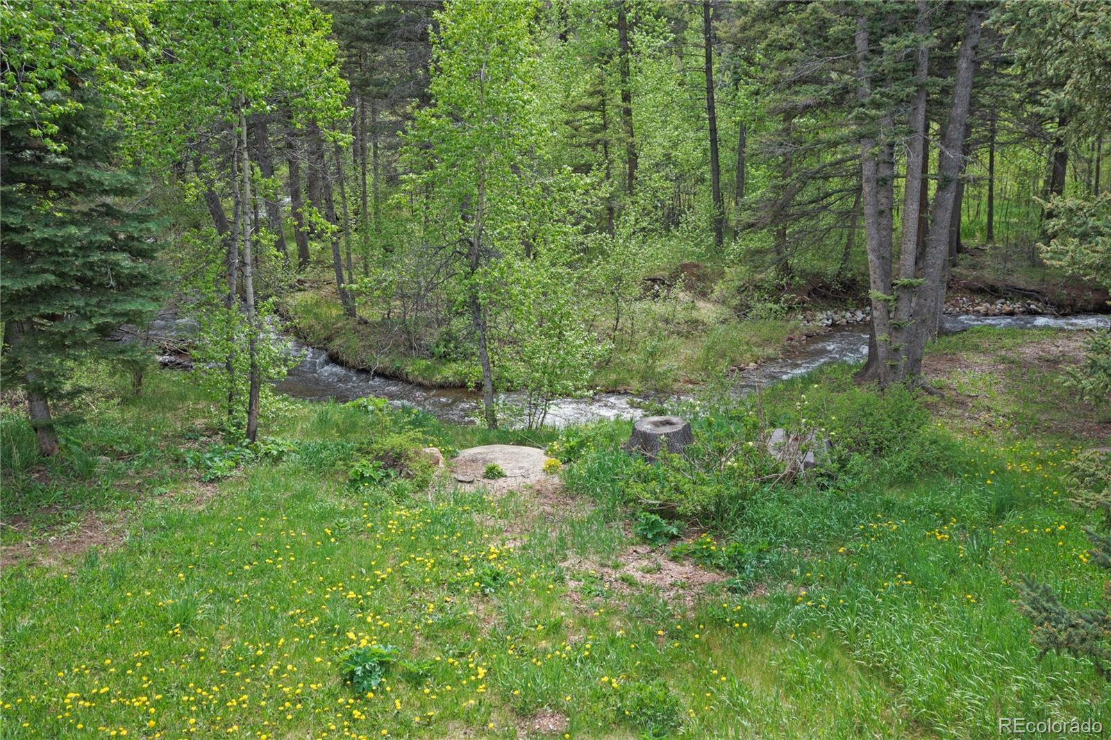 25 Cottonwood Trail La Veta CO 81055