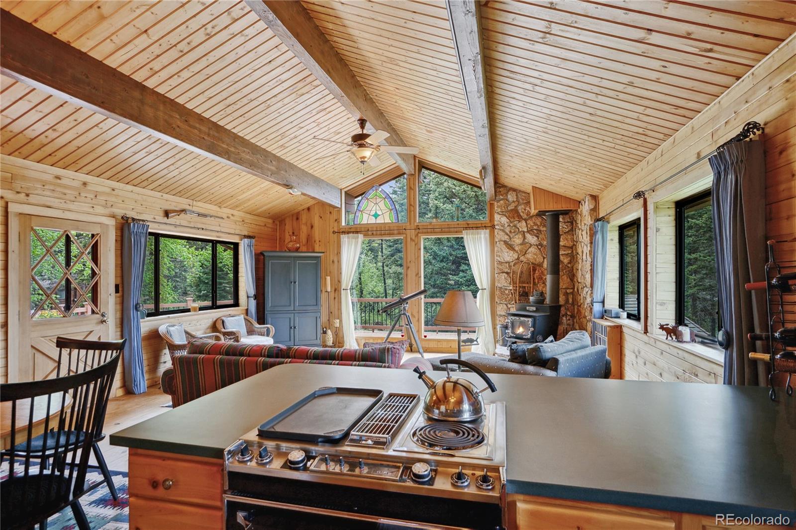 25 Cottonwood Trail La Veta CO 81055