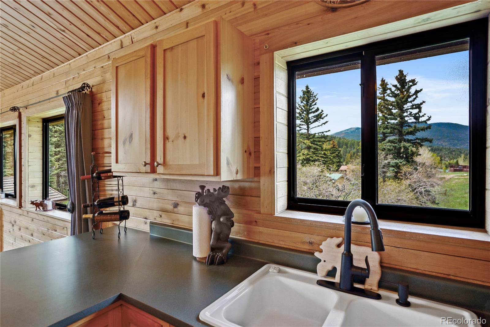 25 Cottonwood Trail La Veta CO 81055
